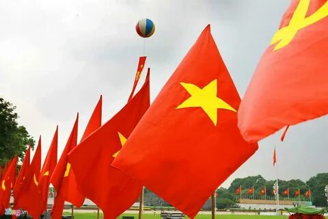 Hotspot Matrix: Biến Loài cá kỳ lạ nhất châu Phi: thành cơ hội marketing đột phá_hướng dẫn edit video YouTube